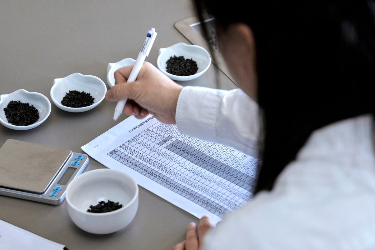 Flavor team carefully scoring and taking notes of the tasting results.