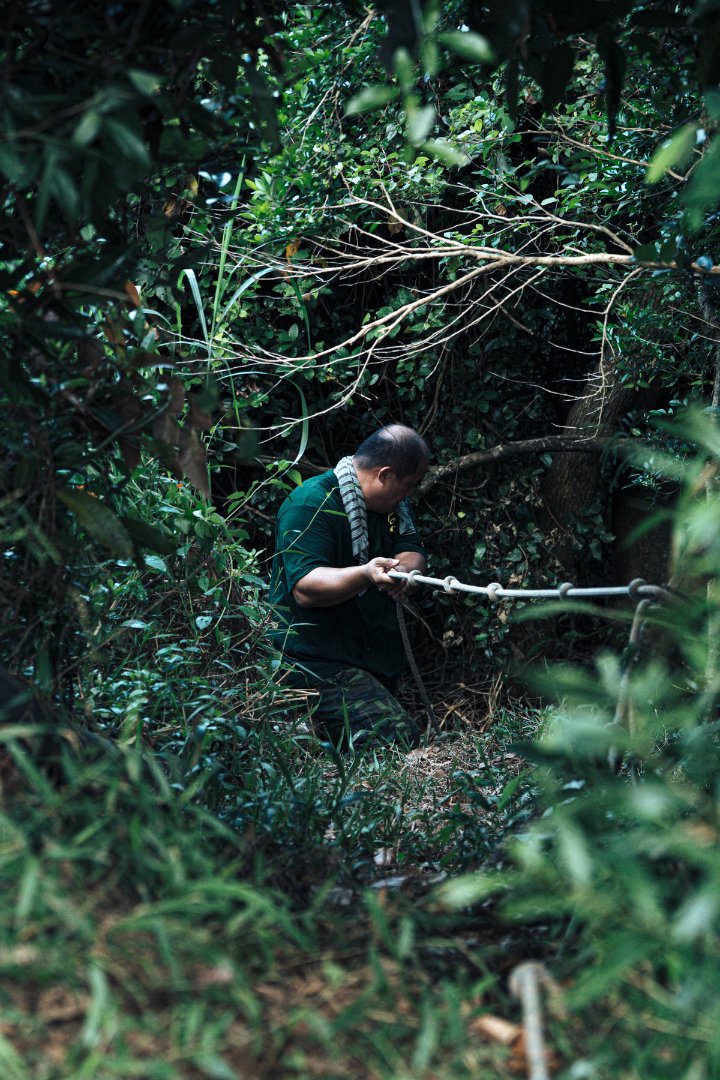 蔡岳君每隔幾天就要上陡峭的山，替茶園引入乾淨的水源.