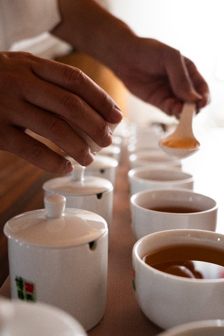 A photo showing part of Buo-Ya Tea's selecting and tasting process.