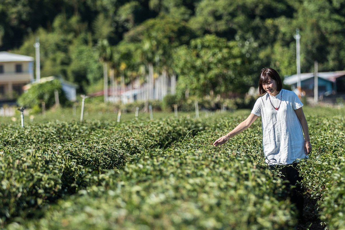 Owner Wu Chiu-Ling in her tea field.