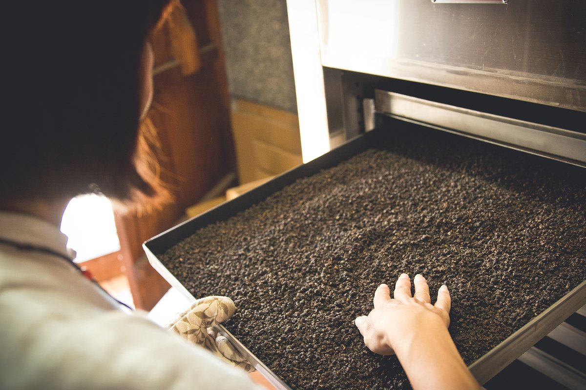 Wu Chiu-Ling carefully inspecting dried tea leaves.