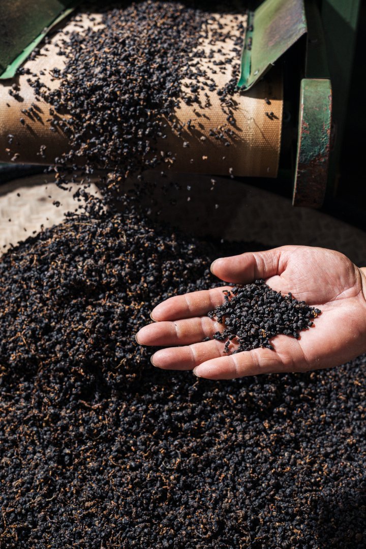 A hand holding the dried tea leaves.