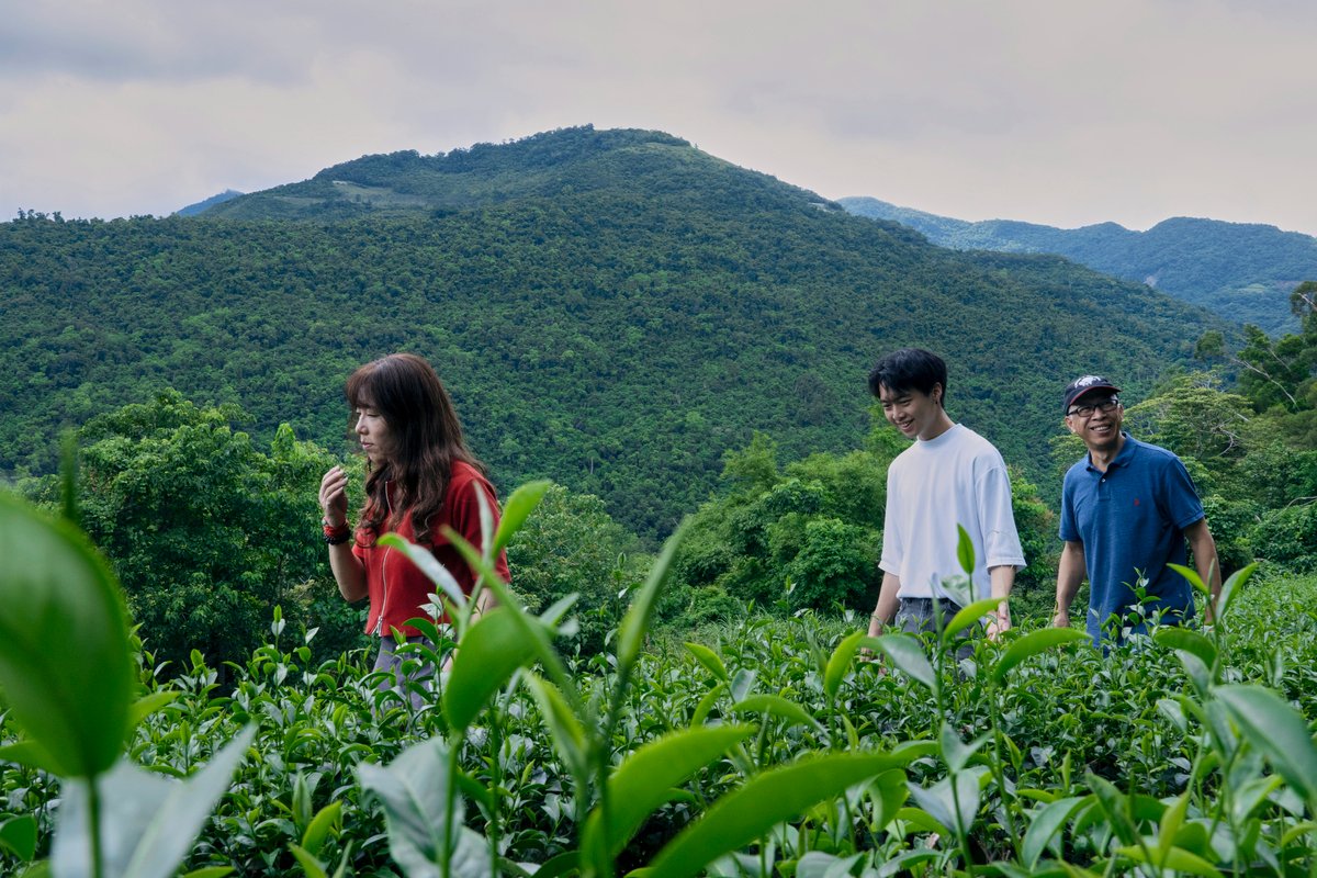 The family behind Yiping Tea Garden walking in their tea field.