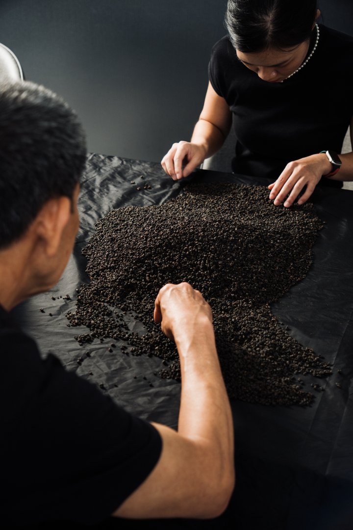 Yunfung Tea Gardens owner sorting dried tea leaves.
