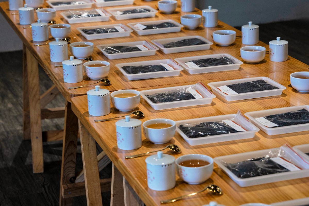 Different lots of tea leaves laid out waiting to be tasted and scored.