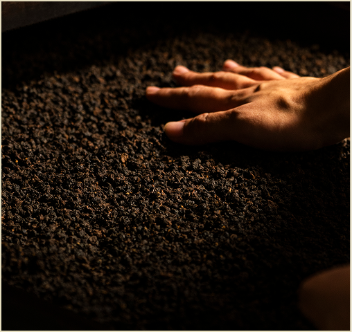 Tea leaves spread evenly in a roasting machine.