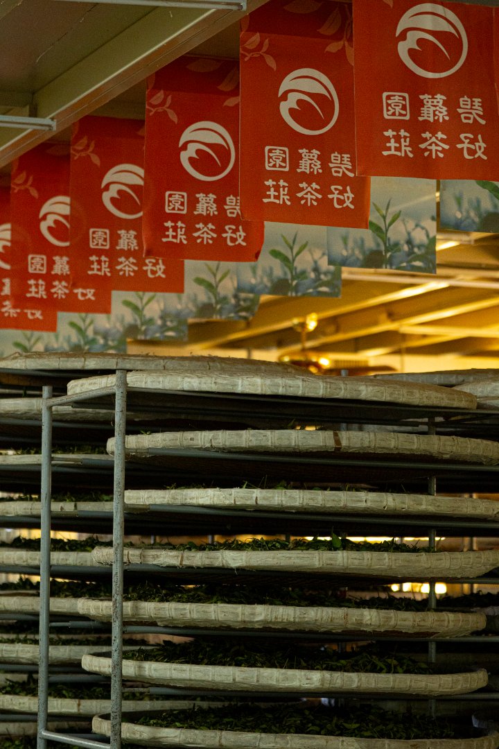 Tea baskets stacked full with fresh tea leaves.