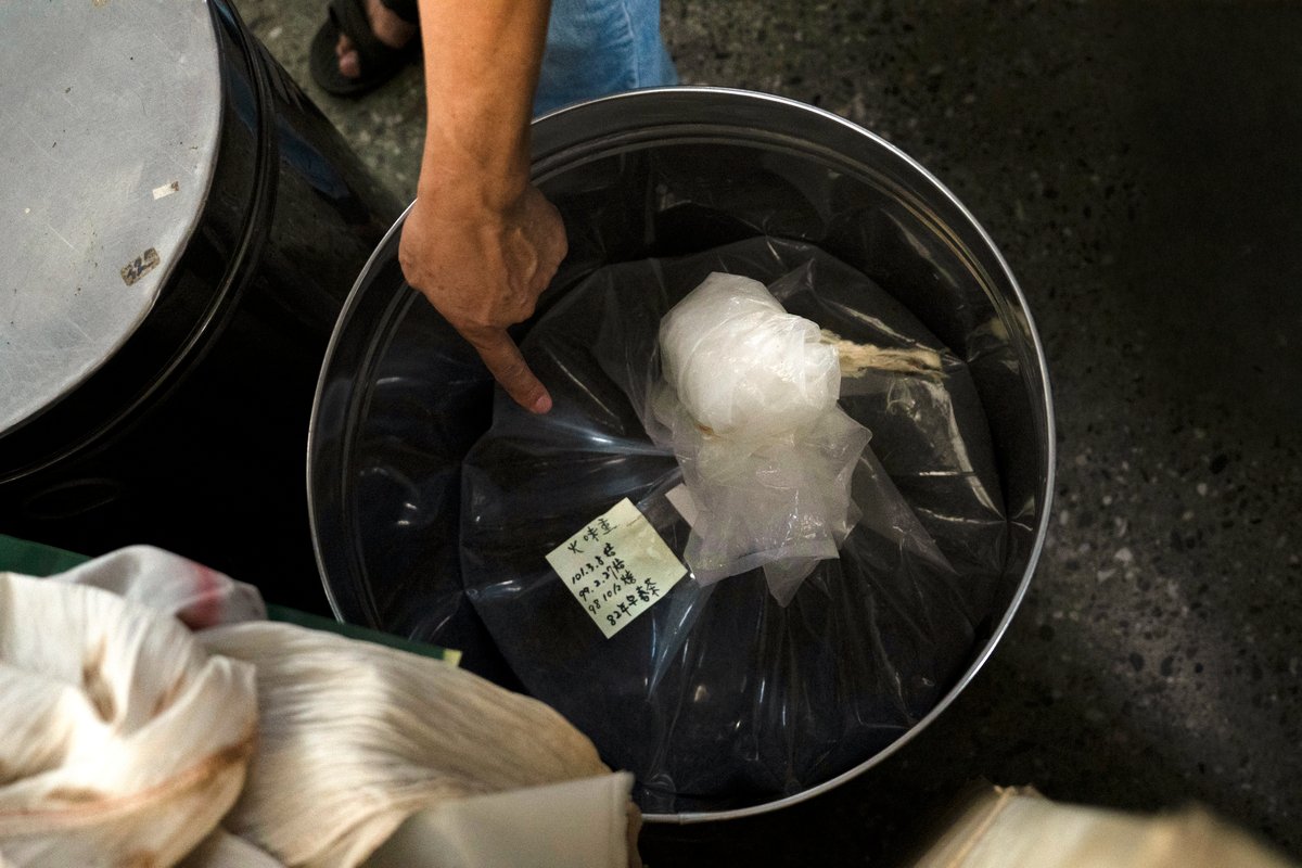 Tea leaves being stored in big barrels to be matured.