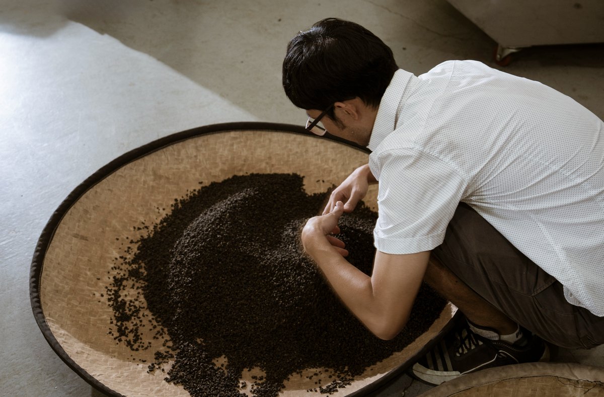 Kuo Ching-Wei sorting through dried tea leaves.
