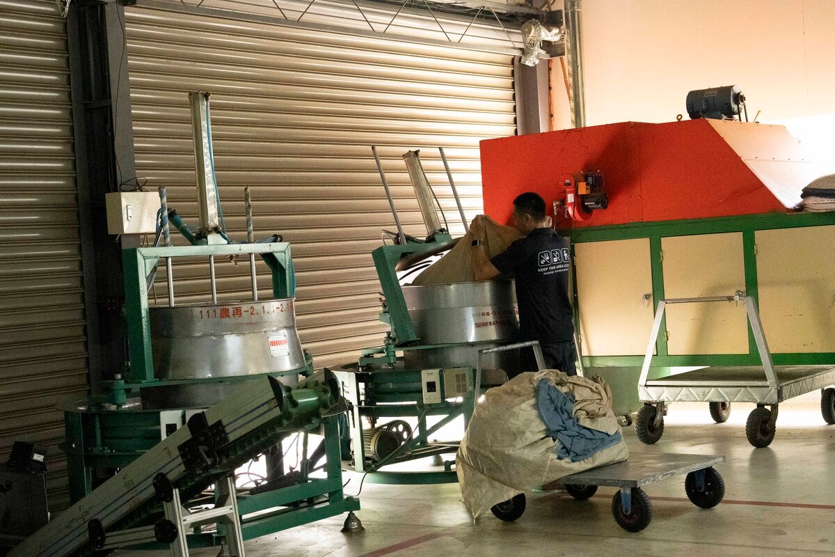 A man loading tea leaves into the rolling machine.